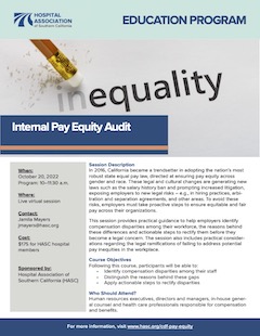 Internal Pay Equity brochure image