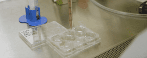 Sending Stem Cells to Space