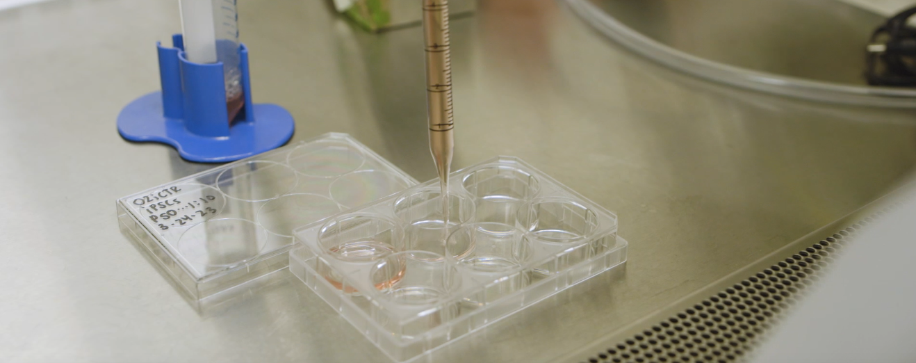 Sending Stem Cells to Space